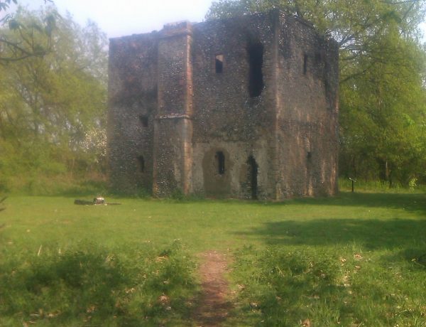 inNorfolk | On the border - Thetford Forest