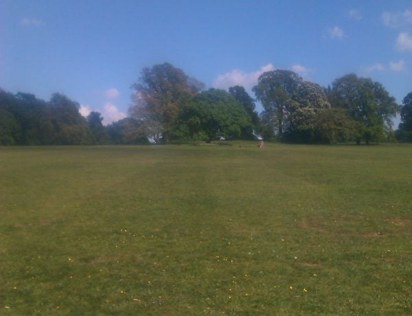 inNorfolk | Frolicking in Earlham Park