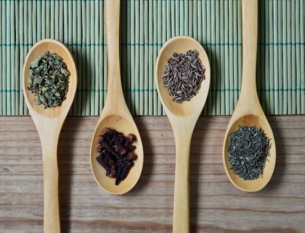 inNorfolk | More curry: The Spice of India, Horsford