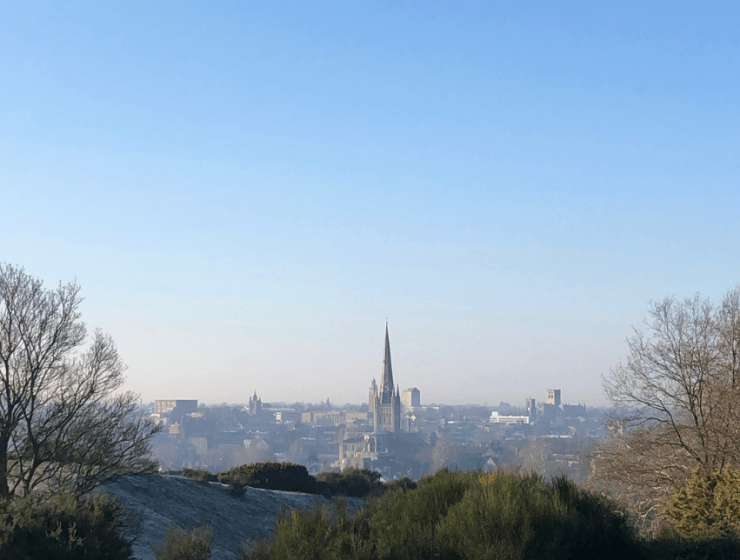 The view from Mousehold Heath