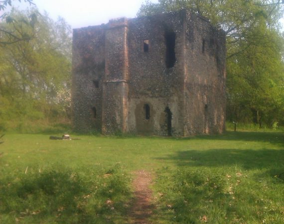 inNorfolk | On the border - Thetford Forest
