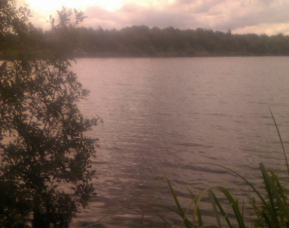 inNorfolk | Twitching at Woodbastwick
