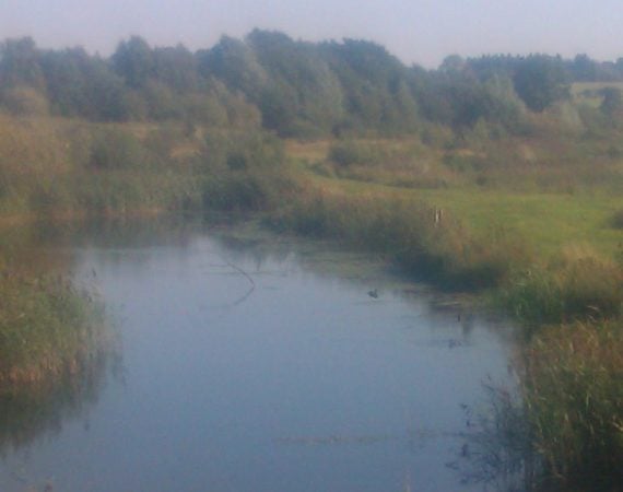 inNorfolk | Natural beauty at Pensthorpe