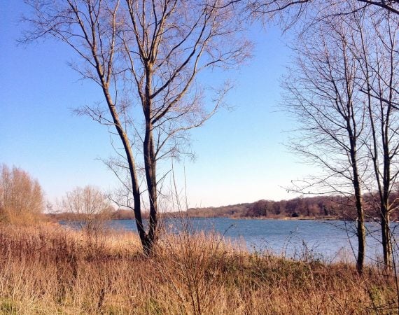in Norfolk | Veggie, not virtuous, at River Green Cafe