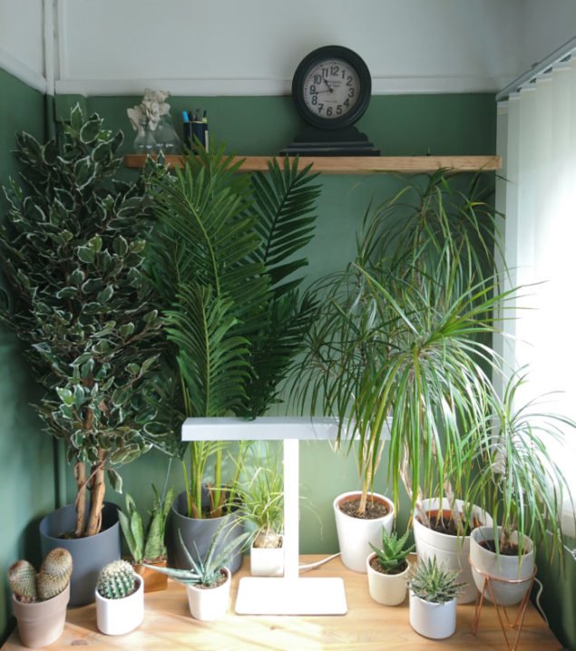 Blooming Artificial indoor plants