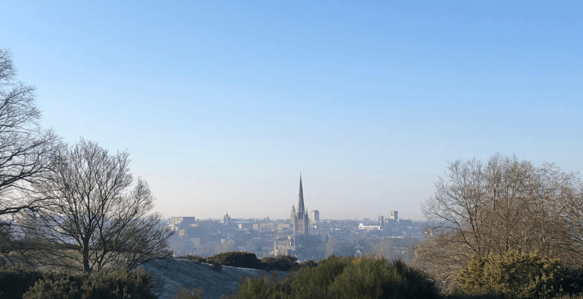The view from Mousehold Heath
