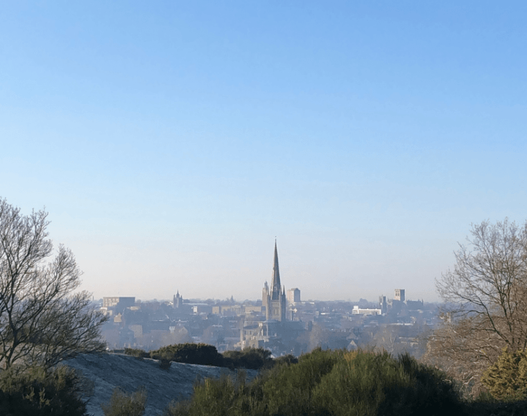 The view from Mousehold Heath