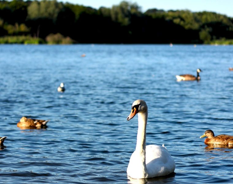 Whitlingham Country Park by Norfolk Photographer Elliot Tam