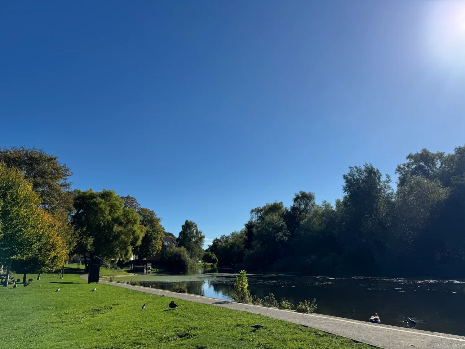 River wensum through park