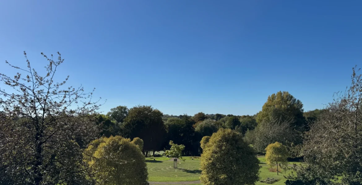 View over Wensum Park with trees and a blue sky