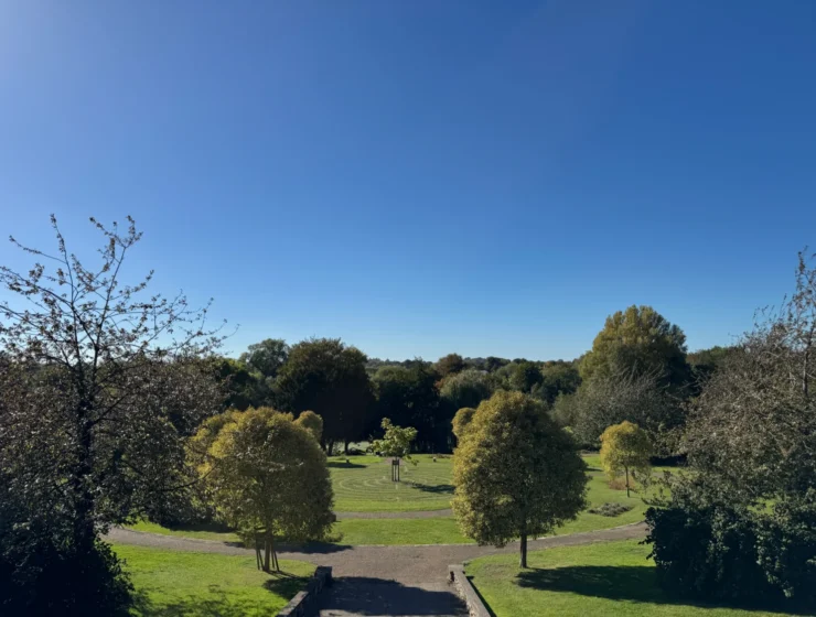 View over Wensum Park with trees and a blue sky