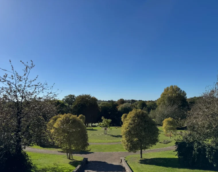 View over Wensum Park with trees and a blue sky